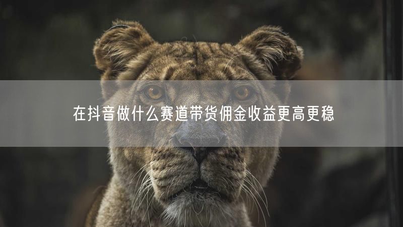 在抖音做什么赛道带货佣金收益更高更稳