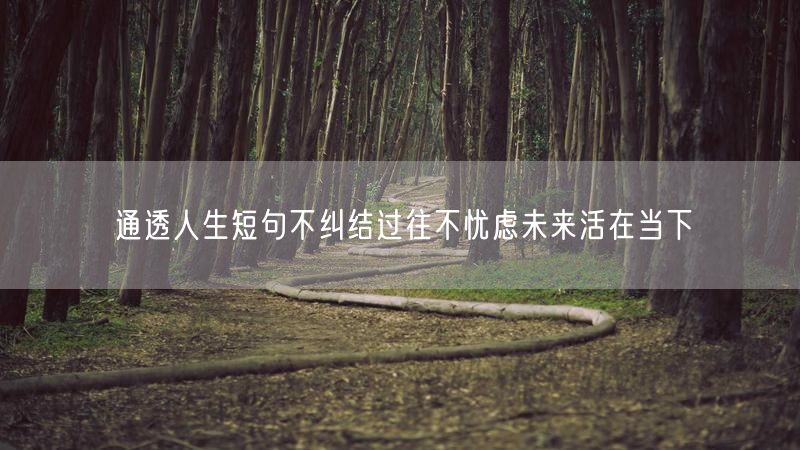 通透人生短句不纠结过往不忧虑未来活在当下