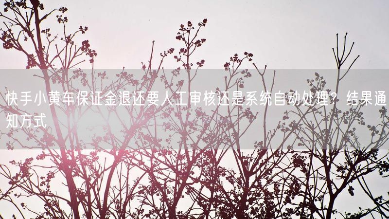 快手小黄车保证金退还要人工审核还是系统自动处理？结果通知方式