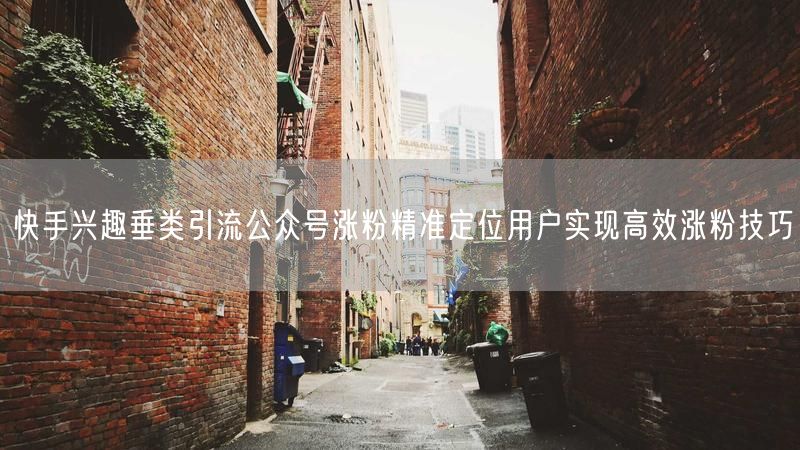 快手兴趣垂类引流公众号涨粉精准定位用户实现高效涨粉技巧