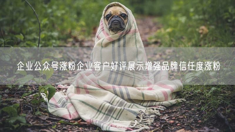 企业公众号涨粉企业客户好评展示增强品牌信任度涨粉