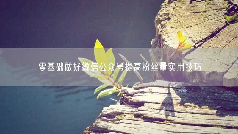 零基础做好微信公众号提高粉丝量实用技巧