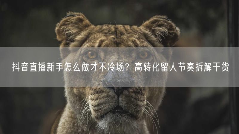 抖音直播新手怎么做才不冷场？高转化留人节奏拆解干货