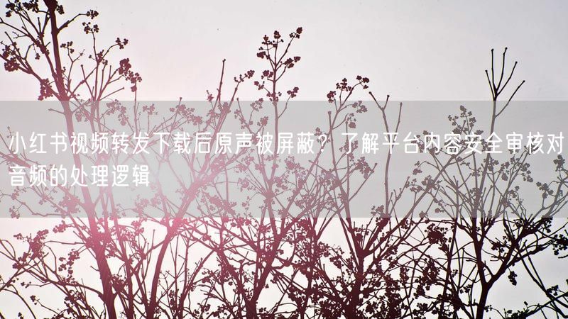 小红书视频转发下载后原声被屏蔽？了解平台内容安全审核对音频的处理逻辑