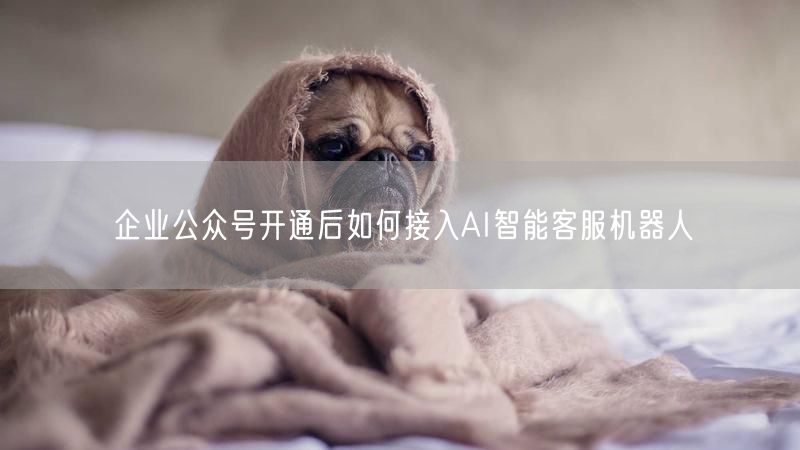 企业公众号开通后如何接入AI智能客服机器人