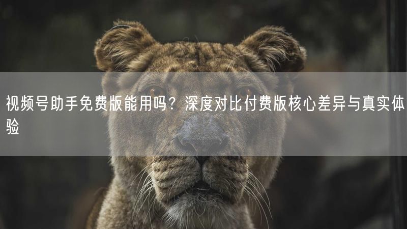 视频号助手免费版能用吗？深度对比付费版核心差异与真实体验