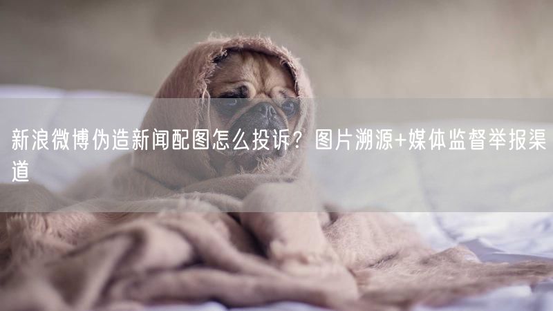 新浪微博伪造新闻配图怎么投诉？图片溯源+媒体监督举报渠道