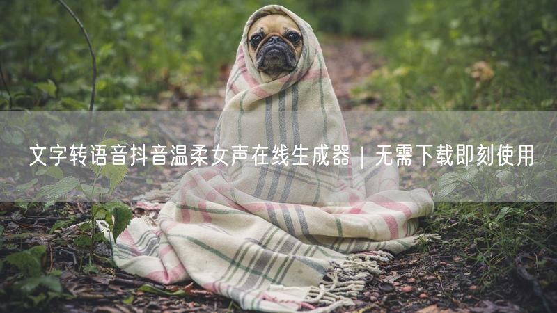 文字转语音抖音温柔女声在线生成器｜无需下载即刻使用