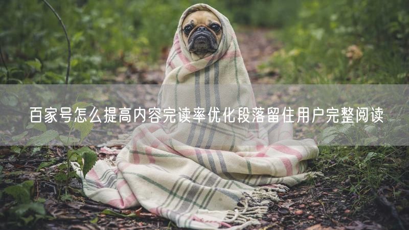 百家号怎么提高内容完读率优化段落留住用户完整阅读