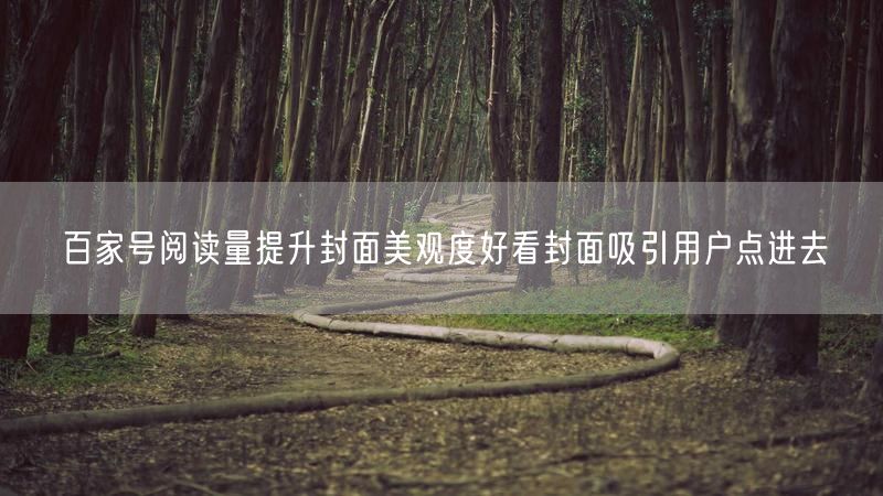 百家号阅读量提升封面美观度好看封面吸引用户点进去