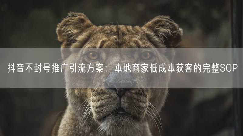 抖音不封号推广引流方案：本地商家低成本获客的完整SOP