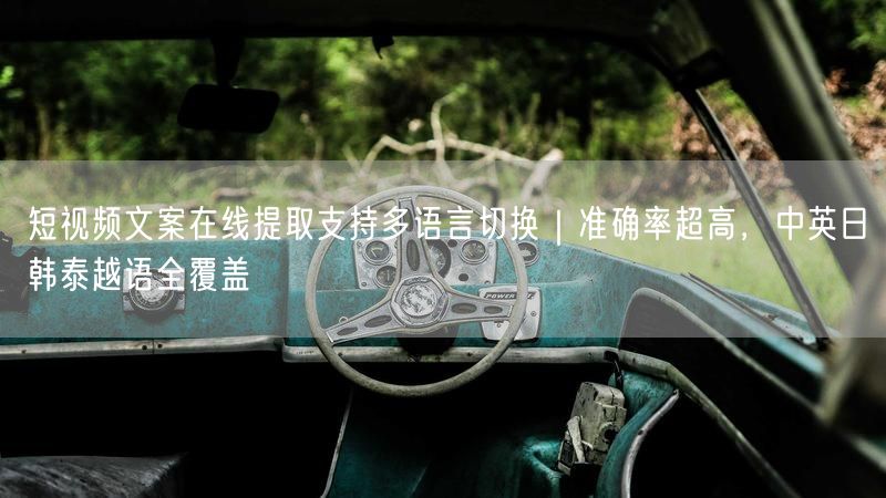 短视频文案在线提取支持多语言切换｜准确率超高，中英日韩泰越语全覆盖