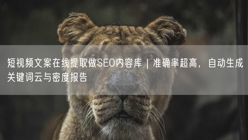 短视频文案在线提取做SEO内容库｜准确率超高，自动生成关键词云与密度报告