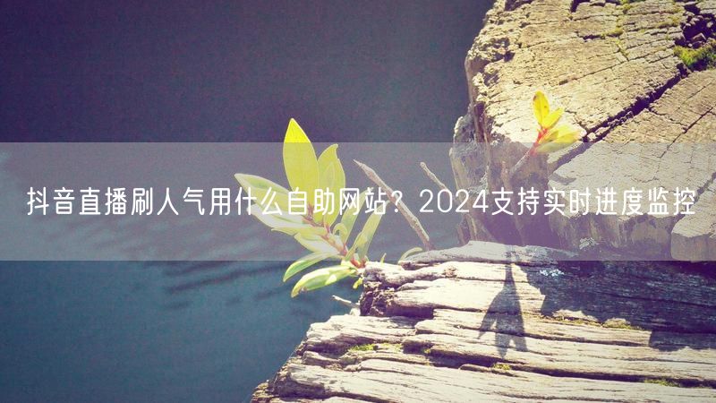 抖音直播刷人气用什么自助网站？2024支持实时进度监控