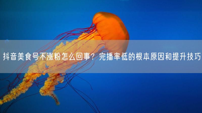 抖音美食号不涨粉怎么回事？完播率低的根本原因和提升技巧