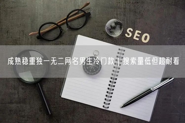 成熟稳重独一无二网名男生冷门款｜搜索量低但超耐看