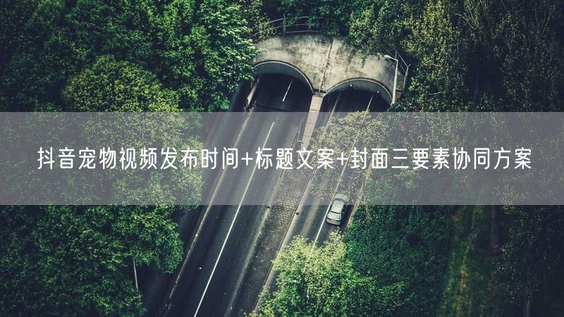 抖音宠物视频发布时间+标题文案+封面三要素协同方案